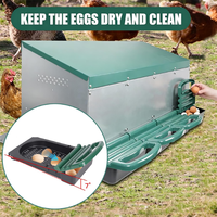 JH-Mech Tiroir à œufs à montage latéral avec barre de séparation verticale, entrée avant surélevée galvanisée pour nichoirs à poules, pour le transport des œufs