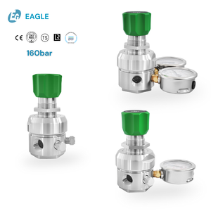 Regulador de Alta Presión de Acero Inoxidable 316 para Equipos, Resistente a la Corrosión, Válvula Reductora Precisa para Agua y <span class=keywords><strong>Gas</strong></span>, 1/4NPT - Product Image 1