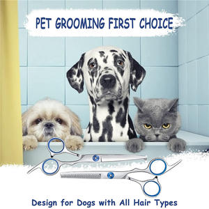 Ciseaux à cheveux K2 en acier inoxydable, 6,0 pouces, outils de beauté de précision pour usage professionnel - Product Image 3