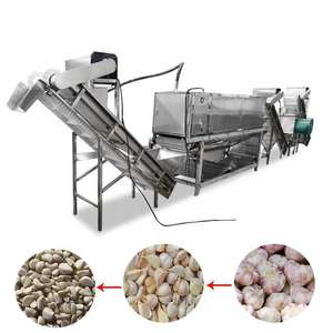 Séparateur d'ail et machine à éplucher les clous de girofle d'ail secs industriels automatiques de 100 kg/h avec compresseur d'air - Product Image 4