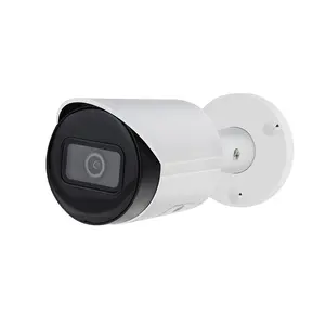 الجملة سعر 4MP CCTV كاميرا مصغرة النجوم IP كاميرا مصغرة مراقبة مصغرة كاميرا تلفزيونات الدوائر المغلقة IPC-HFW2431S-S-S2