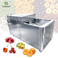 Elektrische industriële automatische machine voor het verwijderen van appel- en kersenpitten, en het ontpitten van lychees.