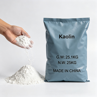 Poudre d'argile kaolinée blanche lavée et calcinée 325 Mesh 1250 Mesh pour la glaçure céramique et le revêtement du papier