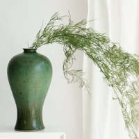 Huahuan DIY Bunga Asparagus Fern Kering Alami Multiwarna untuk Dekorasi Rumah, Pernikahan, Hari Valentine, Dinding Bunga Ramah Lingkungan