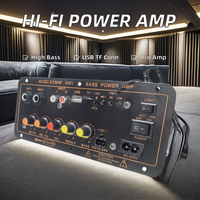 Système audio professionnel D100 pour extérieur, 100W, Bluetooth, mixeur numérique, amplificateur de basses puissant, récepteur audio