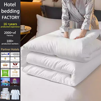 Ensemble de literie pour hôtel 1/2/3/4/5 étoiles, couette d'avion blanche pour hôtels et maisons d'hôtes, 100% coton avec garnissage