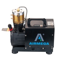Compresseur d'air électrique portable haute pression 220V 4500psi pour plongée sous-marine, paintball, PCP, refroidi par eau, vente en gros d'usine, garantie 2 ans