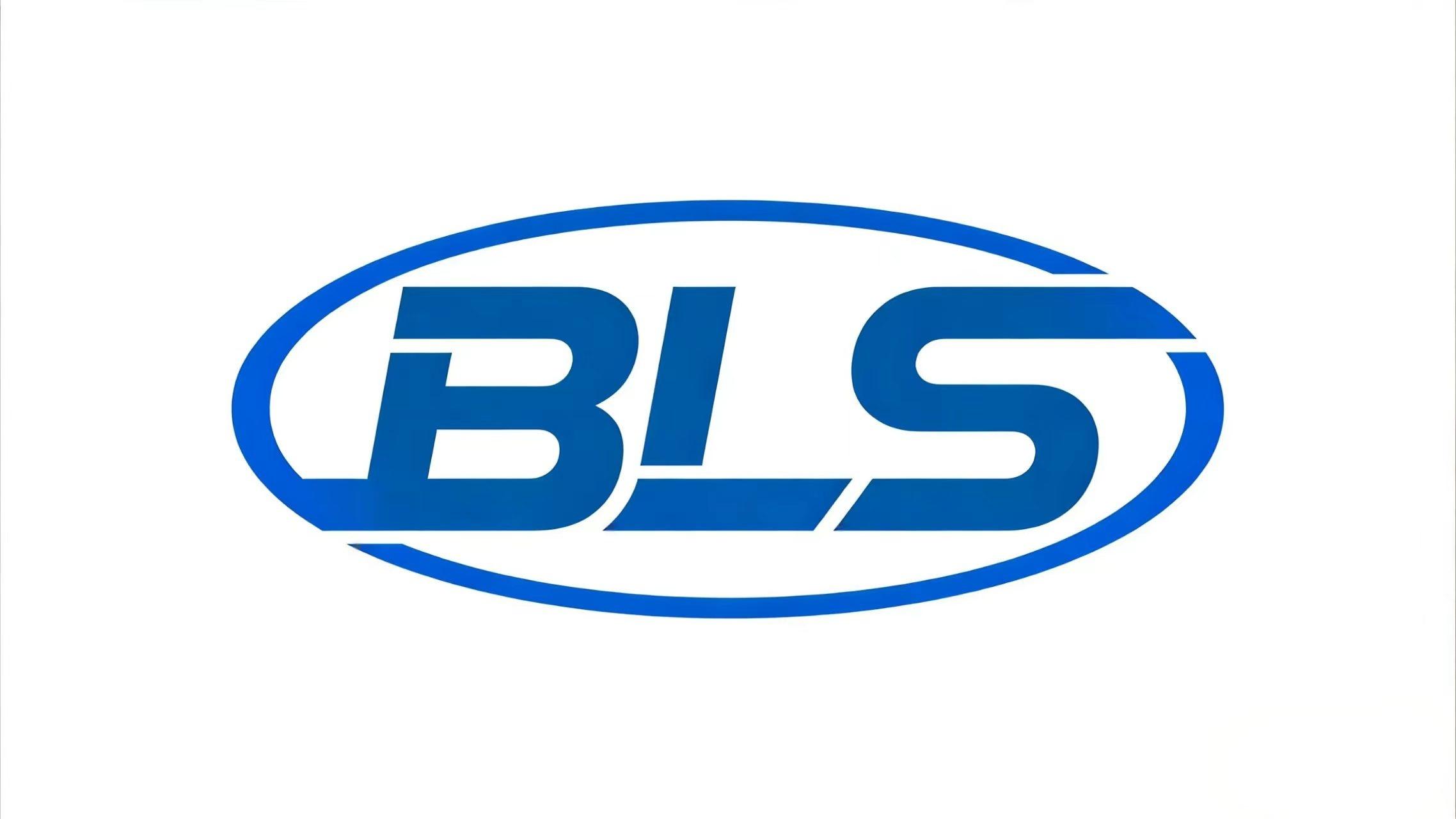 Anqing Boris Technology Co., Ltd. logo