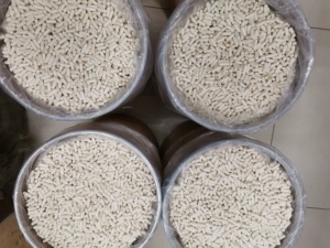 1,000mg <span class=keywords><strong>Tribulus</strong></span> terreseis kapsul Label pribadi terkonsentrasi ekstrak buah suplemen Herbal untuk dewasa - Product Image 5