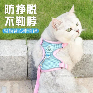 Harnais pour chat en nylon réglable, respirant, réfléchissant, taille petite et moyenne, rose, bleu clair, couleur unie, ensemble laisse pour animal de compagnie - Product Image 2