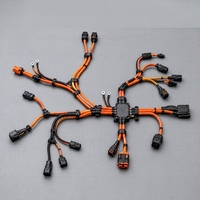 Harnais de câblage haute tension personnalisé pour véhicules électriques, assemblage de câbles avec connecteur électrique multipolaires pour intégration véhicule