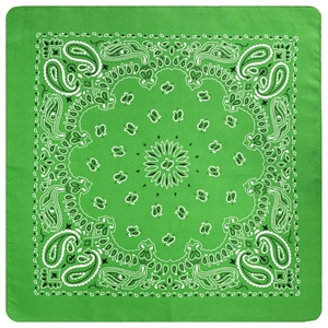 Vente en gros de bandanas carrés en polyester de 21*21 pouces <span class=keywords><strong>pour</strong></span> hommes foulards de cow-boby à imprimé Paisley bandanas <span class=keywords><strong>pour</strong></span> l'extérieur - Product Image 3