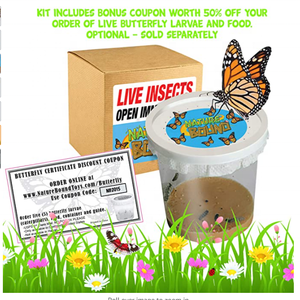 Kit de Hábitat para Cultivo de Mariposas YL - Con Cupón de Descuento para Canjear por Gusanos Vivos para Uso en el Hogar o la Escuela - Jaula Emergente <span class=keywords><strong>Verde</strong></span> - Product Image 6