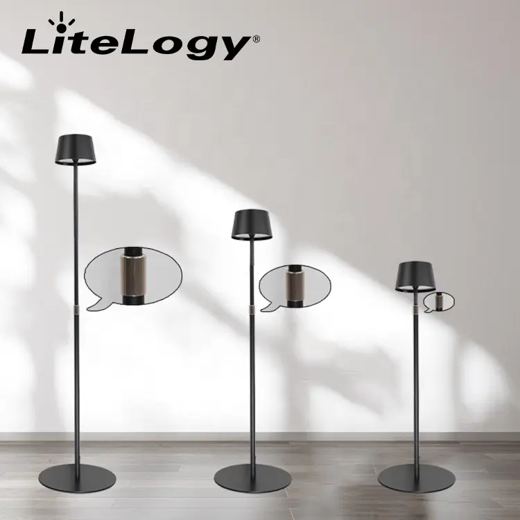 European Rechargeable Adjustable Height Touch Battery Dimmable Standing Vertical Living Room Light Stand Floor Lamp