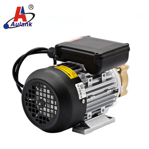 ปั๊มน้ำป้องกันการระเบิดสำหรับการถ่ายโอนของเหลวที่ไม่มีอนุภาค 3 เฟส 220V 0.55kW อัตราการไหล 30 ลิตร/นาที OEM - Product Image 3
