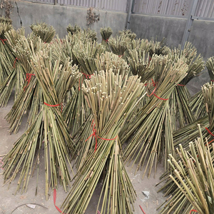 High Quality Dried <b>Bamboo</b> Stakes for Plant Support Natural Agricultural <b>Bamboo</b> <b>Canes</b> for Nursery and Vineyard - Product Image 1