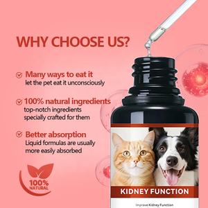 Suplemen Tetes Kesehatan Ginjal Alami untuk Kucing dan Anjing 60ml Mencegah Kerusakan Ginjal Cairan Ginjal Hewan Peliharaan Mendukung Sistem Kemih - Product Image 6