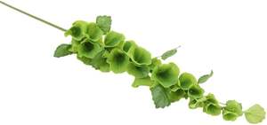 Plantas Artificiales de Alta Calidad, Hierba de Campana Artificial con Hojas de Aspecto Real, Decoración para Bodas, Eventos, Hoteles - Product Image 5