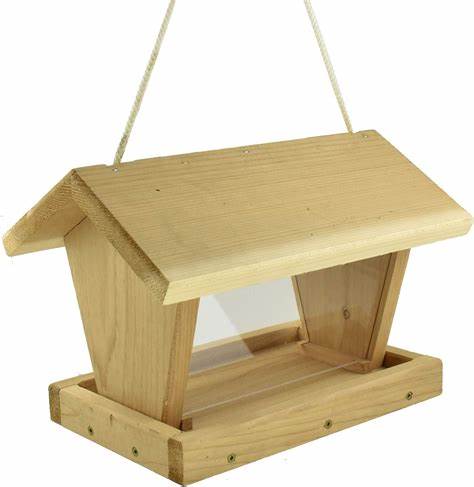 bird seed plate hanging