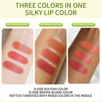 Rouge à lèvres mat à l'extrait d'aloe vera 3,6 g, changeant de couleur selon la température, tendance populaire, maquillage quotidien, OEM ODM, logo personnalisé
