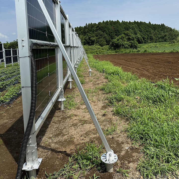 Solar Farm Panel Structure System Stand Steel or Al6005-T5 Bifacial Vertical Solar Panel Fence