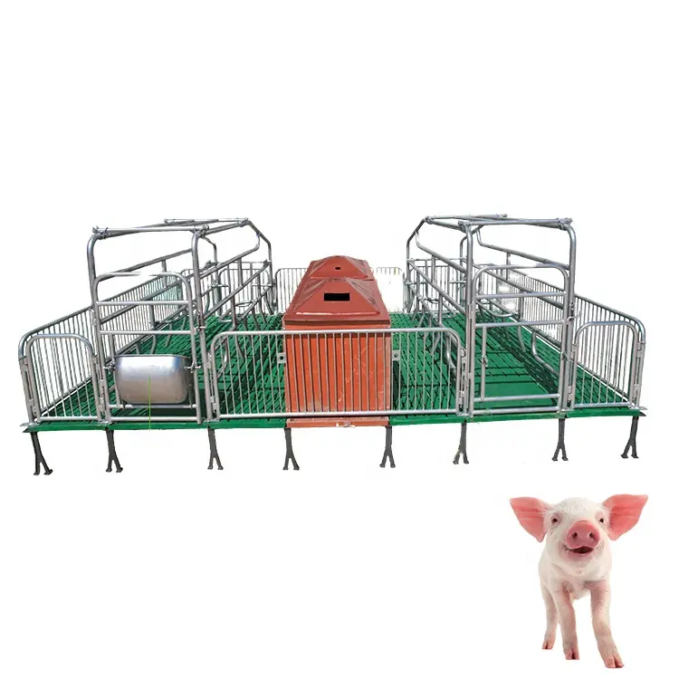 Équipement pour porcs Lit de mise bas galvanisé personnalisé Stylo d'élevage de porcs Cage de maternité pour porcs