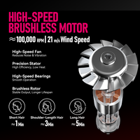 Sèche-cheveux professionnel FirePhoenix M2, vente en gros OEM, moteur sans balais ionique 2200W, léger 430g, séchage rapide, double tension 127V-240V