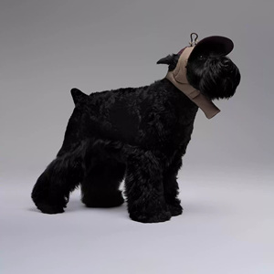 Umwelt freundliche moderne Mode Haustier hut <span class=keywords><strong>Nylon</strong></span> Solid Warm Down-Like Hund Winter Zwei-Wege-Verschleiß Kälte sicherer Flug hut Haustier Hunde hut - Product Image 3