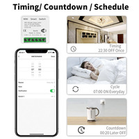 Mini interruptor inteligente WiFi 16A interruptores de luz DIY Control inalámbrico Smart Home con Tuya Smart Life Alexa Google Home