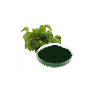 Poudre de Chlorophylline de Cuivre Sodique <span class=keywords><strong>E141</strong></span>, Colorant Alimentaire Vert Naturel Soluble dans l'Eau, Poudre de Chlorophylline CAS 11006-34-1 - Product Image 1