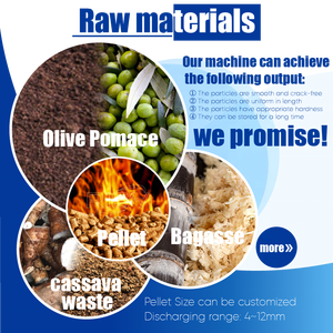 Richi Hot Bán 1-2t/h Olive bưởi PELLET Máy làm - Product Image 2