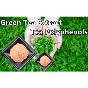 Estratto vegetale di polifenoli estratto di tè verde fonte organica di catechina - Product Image 4