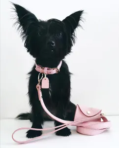 バックル付きレザー犬の首輪カスタム経済的な本革パッド入りかわいい愛らしい犬の首輪