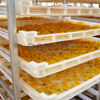 Nouvelle technologie : Séchoir à chrysanthèmes, déshydrateur de fleurs, four de séchage à pompe à chaleur
