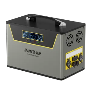 Weelink with Portable powerstation LifePO4 batteries used for outgoing