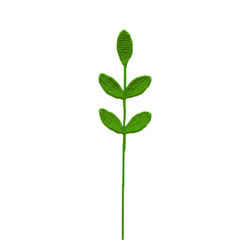 Vert eucalyptus