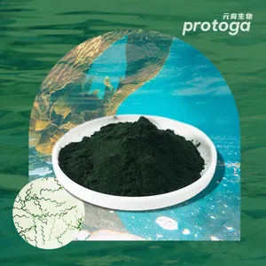 Protoga Herbal Supplements High Content Organic Spirulina Algae Powder