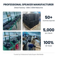 Subwoofer professionnel 6,5 pouces et 160W, toutes séries, avec tweeter de 44 mm, unité de woofer à aimant puissant, M206
