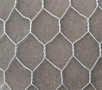 Panier gabion galvanisé de qualité supérieure, revêtement PVC, mur de soutènement gabion, boîte gabion pour la protection du sol
