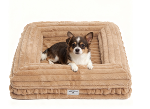 Cama de Lujo para Perros YANGYANG PET, de Terciopelo Cómodo, con Funda Extraíble y Lavable, Diseño de Dibujos Animados, Fibra de Polipropileno, Accesorio para Mascotas para Todas las Estaciones - Product Image 4