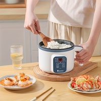 Mini-cuiseur à riz numérique multifonctionnel avec protection contre la surchauffe, 6 modes de cuisson, capacité de 1,1 à 2 L, revêtement antiadhésif en plastique