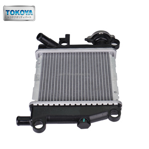 Radiatore serbatoio acqua moto <span class=keywords><strong>per</strong></span> Yamaha LUViAS 125 Scooter parti del sistema di raffreddamento ad acqua nucleo in alluminio - Product Image 1