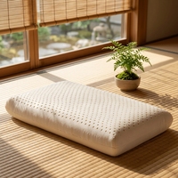 Oreiller en latex naturel moderne Apivita, vente en gros usine, tissu rafraîchissant, soutien cervical, protection du cou, forme ondulée, rayé
