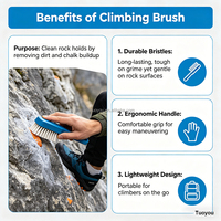 Brosse de nettoyage pour escalade en bois, en plastique et bois de hêtre, avec poils de cheval, pour tous types d'escalade et de bouldering