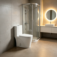 Ensemble WC monobloc de luxe moderne de haute qualité avec chasse d'eau à décharge directe, toilettes en céramique faciles à nettoyer pour usage en lavabo