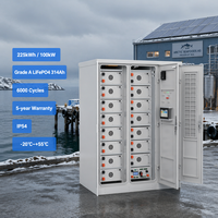 Système de stockage d'énergie solaire industriel et commercial avec batterie LiFePO4 225 kWh/215 kWh, onduleur hybride 100 kW et extincteur