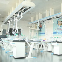 Table de laboratoire suspendue en acier moderne pour bancs de chimie et de sciences des collèges - Liserve ZC04G005