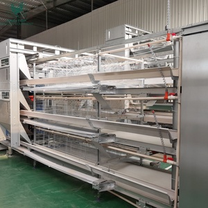 Zware Commerciële Kippenuitrusting Eierproductie Met Hoge Capaciteit Automatisch H-Type Laagkooisysteem Voor Pluimveebedrijven In Brazilië - Product Image 6