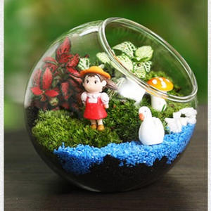 Micro-paysage en verre écologique transparent, plante succulente suspendue, mousse, <span class=keywords><strong>vase</strong></span> vert fait main pour la remise des diplômes et l'inauguration de la maison - Product Image 3