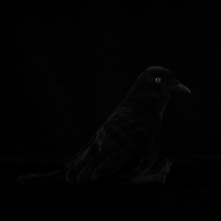 Peluche réaliste de corbeau américain, jouet en peluche doux pour enfants et amoureux des oiseaux